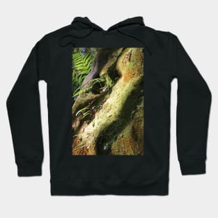 Sleeping Dragon Hoodie